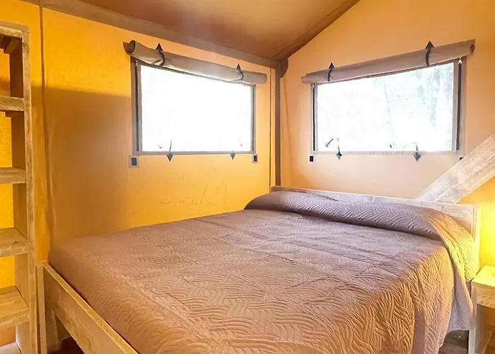 Glamping Il Poderino 럭셔리텐트 체치나